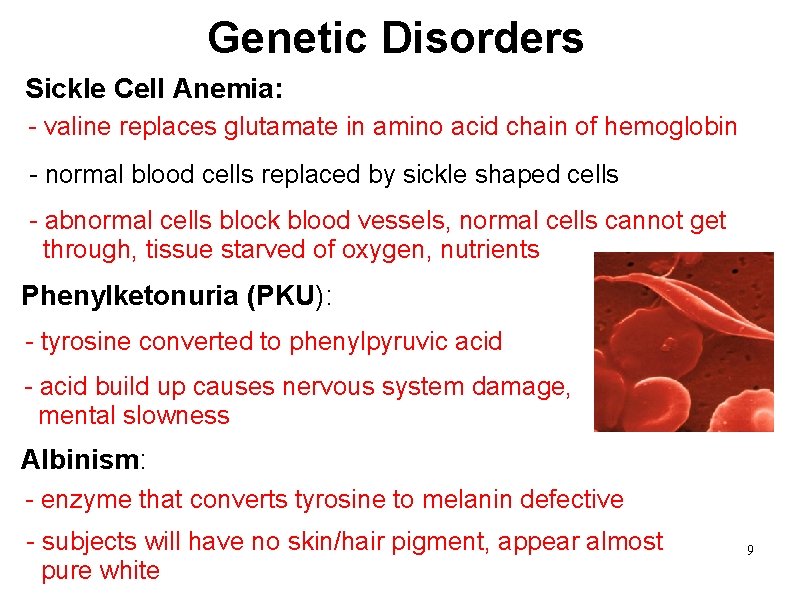  Genetic Disorders Sickle Cell Anemia: - valine replaces glutamate in amino acid chain