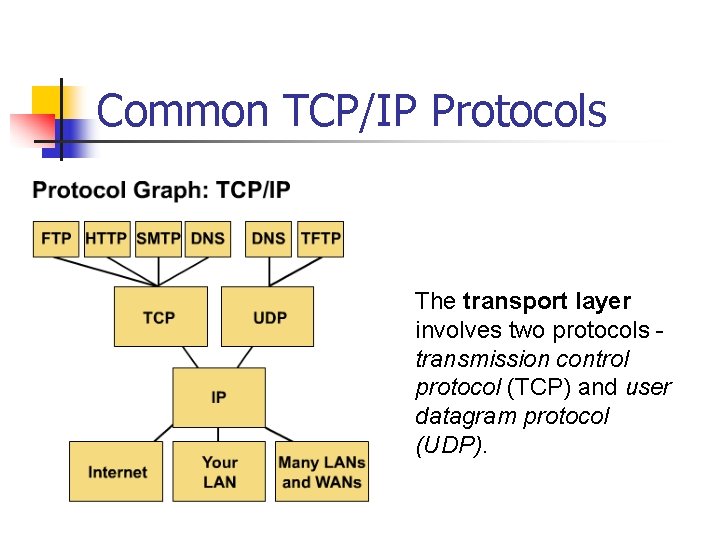 Common TCP/IP Protocols The transport layer involves two protocols - transmission control protocol (TCP)