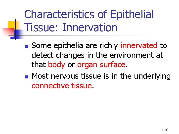 Characteristics of Epithelial Tissue: Innervation n n Some epithelia are richly innervated to detect