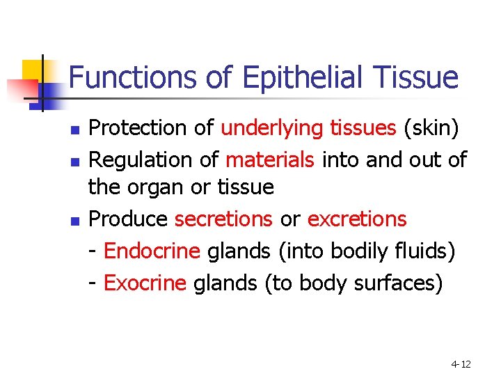 Functions of Epithelial Tissue n n n Protection of underlying tissues (skin) Regulation of