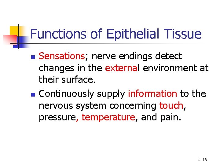 Functions of Epithelial Tissue n n Sensations; nerve endings detect changes in the external