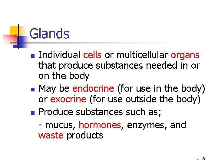Glands n n n Individual cells or multicellular organs that produce substances needed in