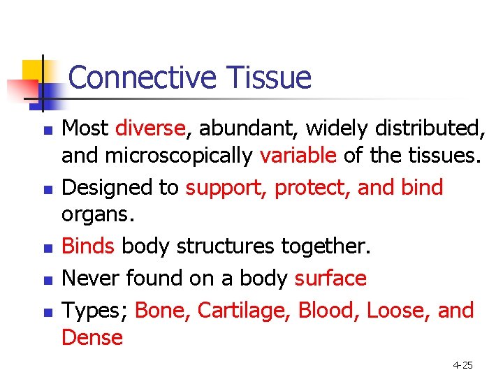 Connective Tissue n n n Most diverse, abundant, widely distributed, and microscopically variable of