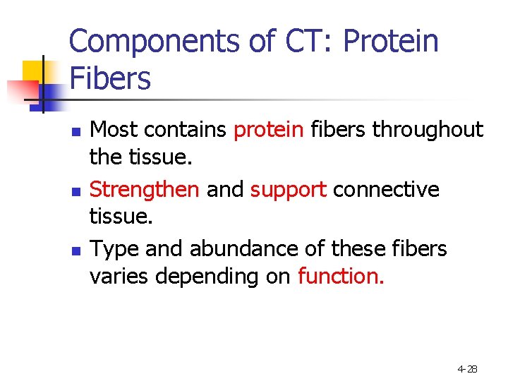 Components of CT: Protein Fibers n n n Most contains protein fibers throughout the
