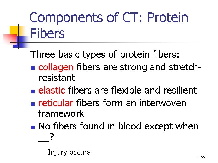 Components of CT: Protein Fibers Three basic types of protein fibers: n collagen fibers