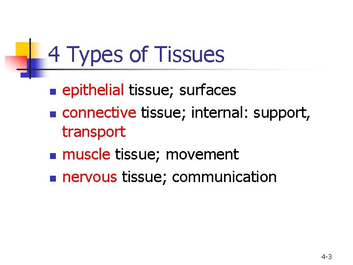 4 Types of Tissues n n epithelial tissue; surfaces connective tissue; internal: support, transport