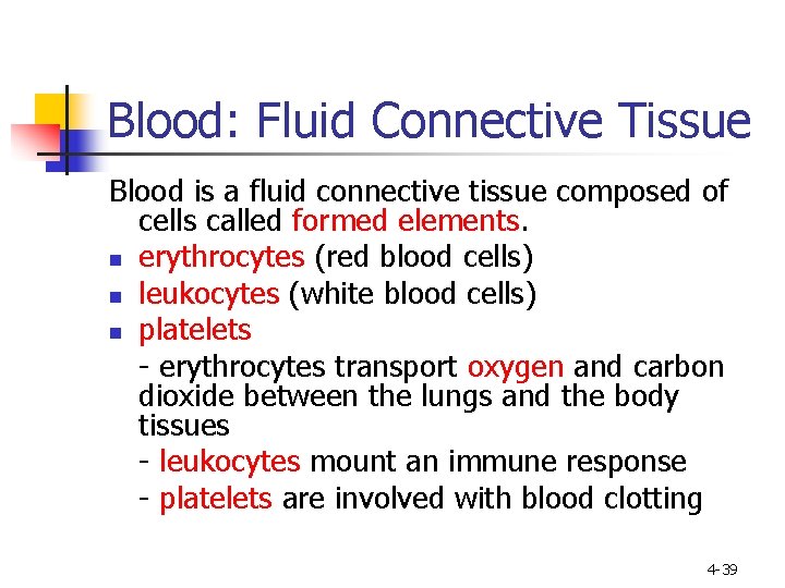 Blood: Fluid Connective Tissue Blood is a fluid connective tissue composed of cells called