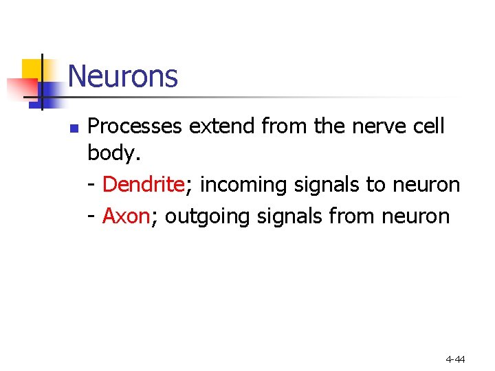 Neurons n Processes extend from the nerve cell body. - Dendrite; incoming signals to