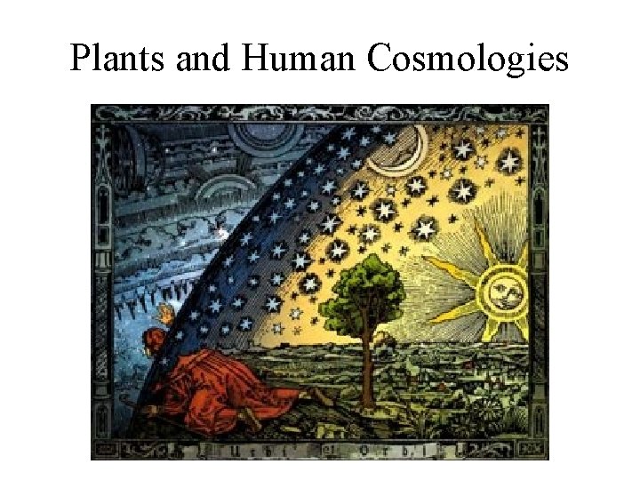 Plants and Human Cosmologies 