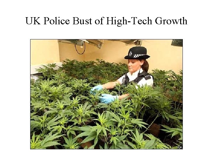 UK Police Bust of High-Tech Growth 