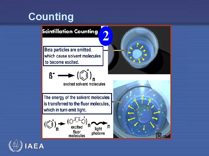 Counting IAEA 