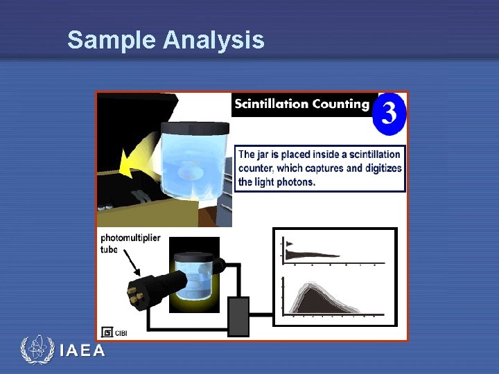 Sample Analysis IAEA 