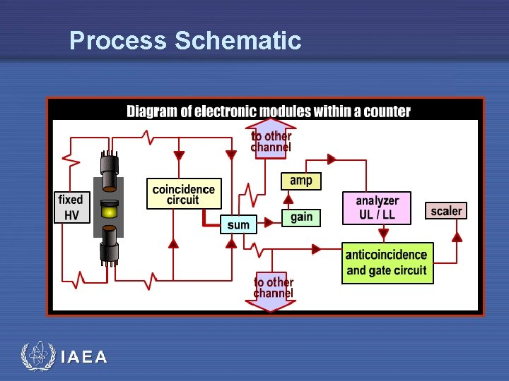 Process Schematic IAEA 