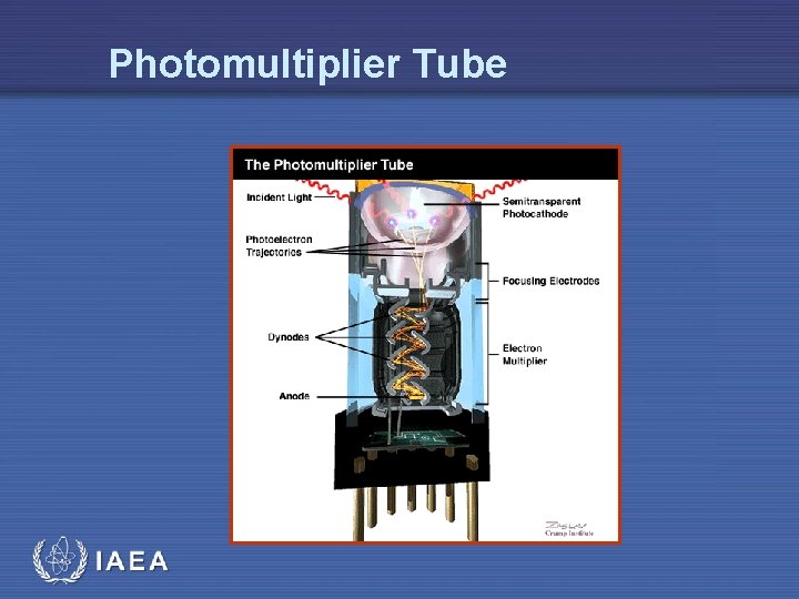 Photomultiplier Tube IAEA 
