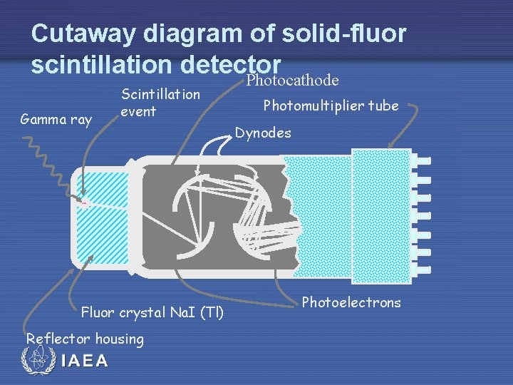 Cutaway diagram of solid-fluor scintillation detector Photocathode Gamma ray Scintillation event Fluor crystal Na.