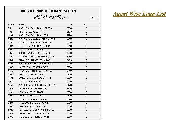 Agent Wise Loan List 