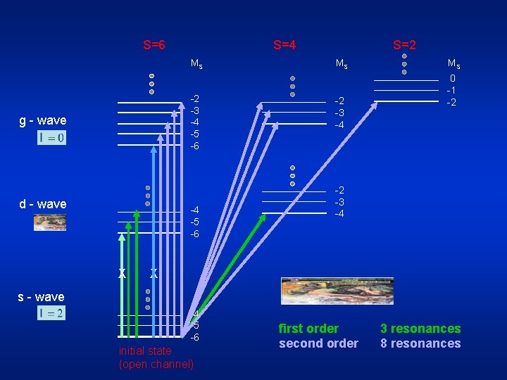 S=6 MS -2 -3 -4 -5 -6 g - wave d - wave -4