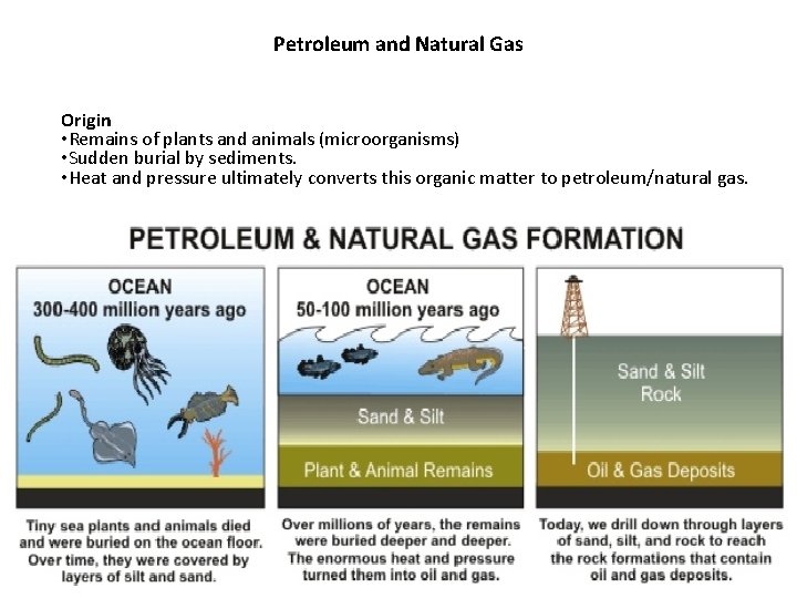 Petroleum and Natural Gas Origin • Remains of plants and animals (microorganisms) • Sudden