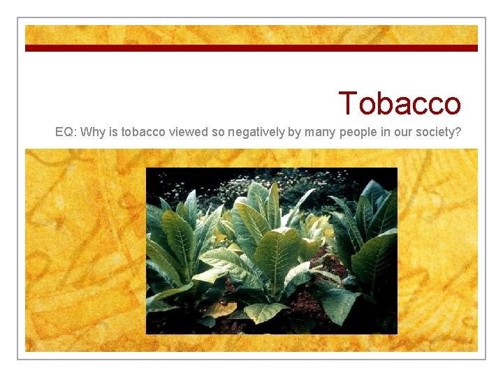 Tobacco EQ: Why is tobacco viewed so negatively by many people in our society?