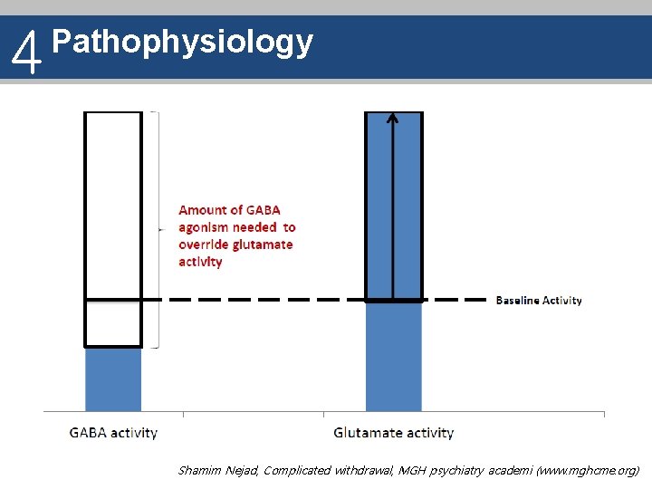 4 Pathophysiology Shamim Nejad, Complicated withdrawal, MGH psychiatry academi (www. mghcme. org) 