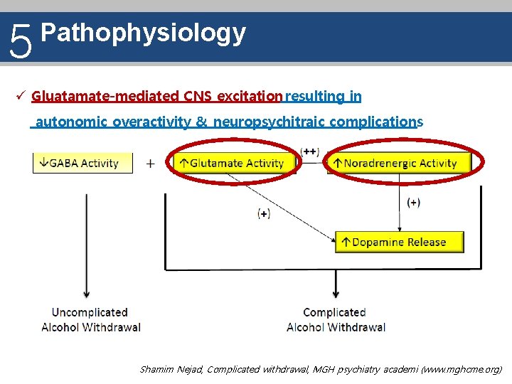 5 Pathophysiology ü Gluatamate-mediated CNS excitation resulting in autonomic overactivity & neuropsychitraic complications Shamim