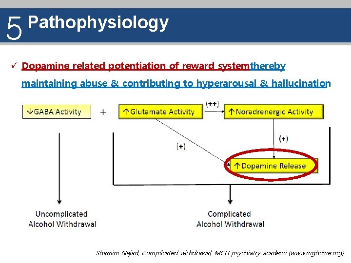 5 Pathophysiology ü Dopamine related potentiation of reward systemthereby maintaining abuse & contributing to