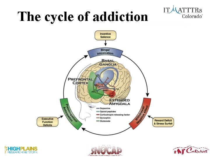 The cycle of addiction 21 The cycle of addiction 21