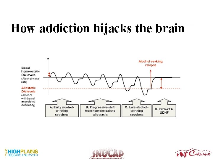How addiction hijacks the brain Koob, 2003 22 How addiction hijacks the brain Koob, 2003 22