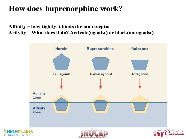 How does buprenorphine work? Affinity = how tightly it binds the mu receptor Activity How does buprenorphine work? Affinity = how tightly it binds the mu receptor Activity