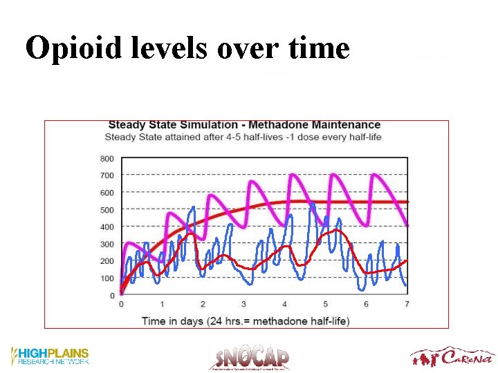 Opioid levels over time Opioid levels over time
