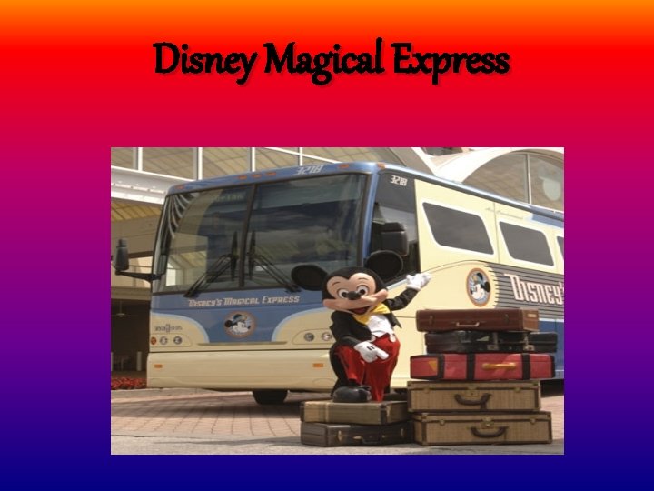  Disney Magical Express 