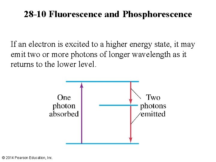 28 -10 Fluorescence and Phosphorescence If an electron is excited to a higher energy