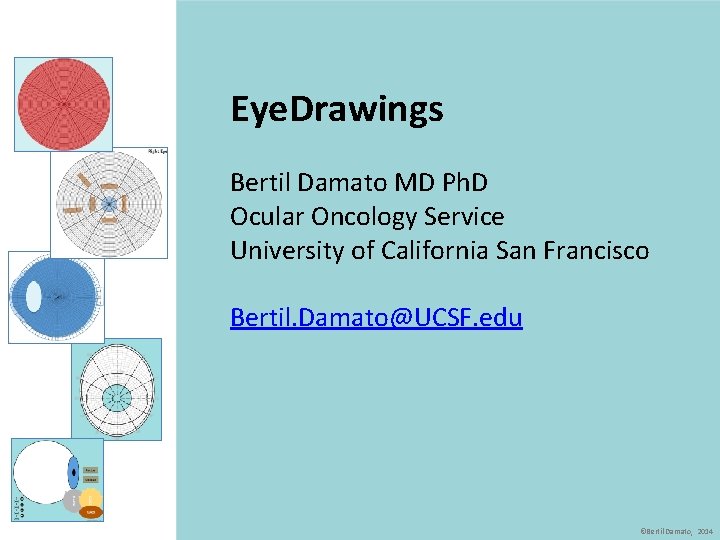 Eye. Drawings Bertil Damato MD Ph. D Ocular Oncology Service University of California San