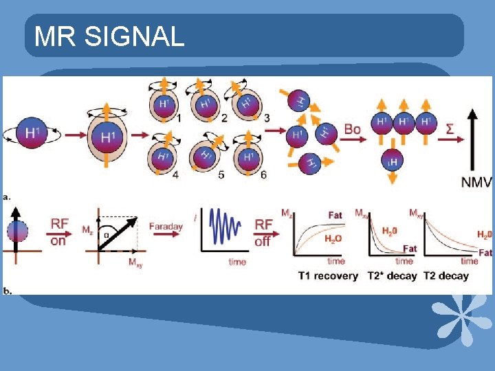 MR SIGNAL 