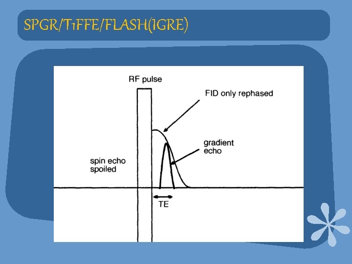 SPGR/T 1 FFE/FLASH(IGRE) 