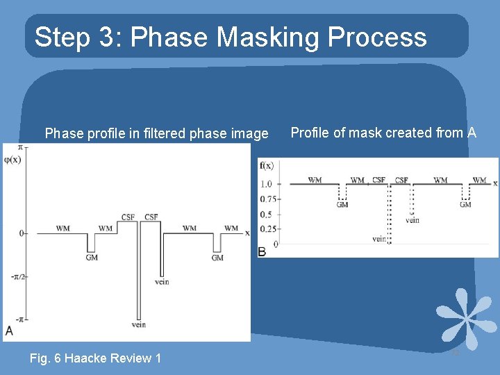 Step 3: Phase Masking Process Phase profile in filtered phase image Fig. 6 Haacke