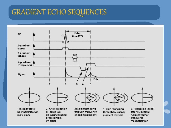 GRADIENT ECHO SEQUENCES 