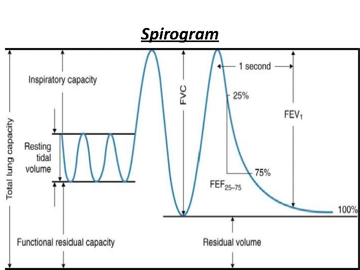 Spirogram 