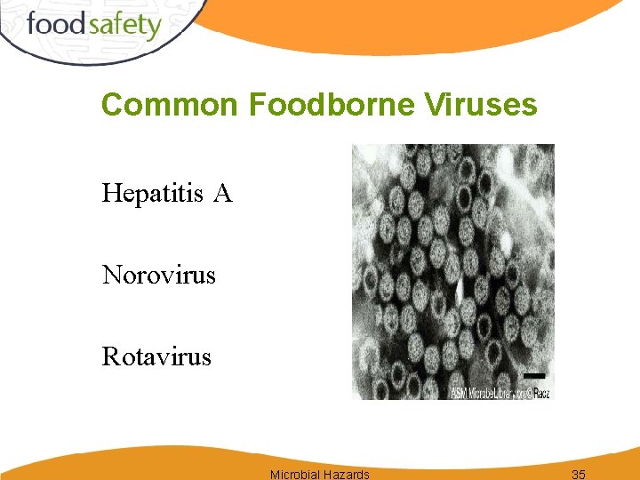 Common Foodborne Viruses Hepatitis A Norovirus Rotavirus Microbial Hazards 35 