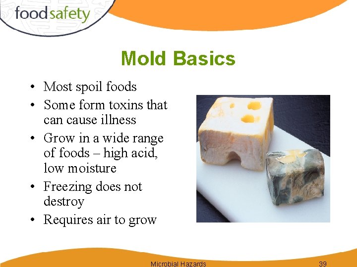 Mold Basics • Most spoil foods • Some form toxins that can cause illness