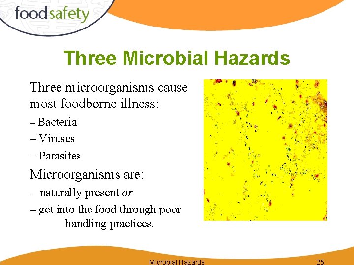 Three Microbial Hazards Three microorganisms cause most foodborne illness: – Bacteria – Viruses –