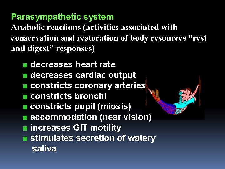 Parasympathetic system Anabolic reactions (activities associated with conservation and restoration of body resources “rest