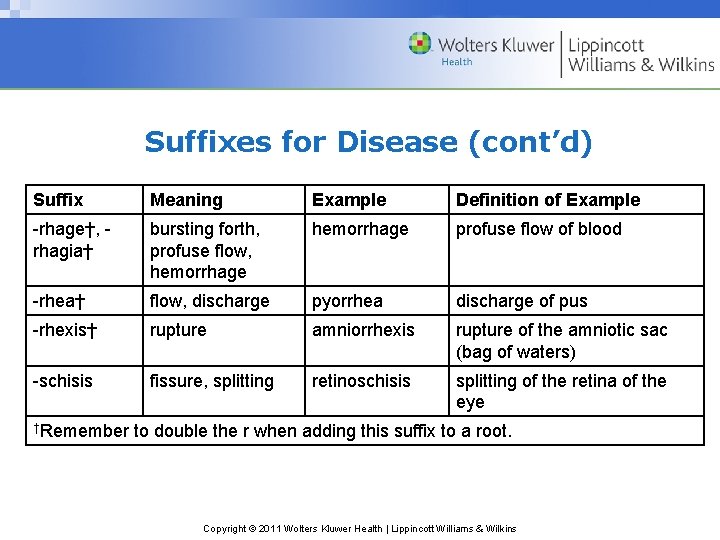 Suffixes for Disease (cont’d) Suffix Meaning Example Definition of Example -rhage†, rhagia† bursting forth,