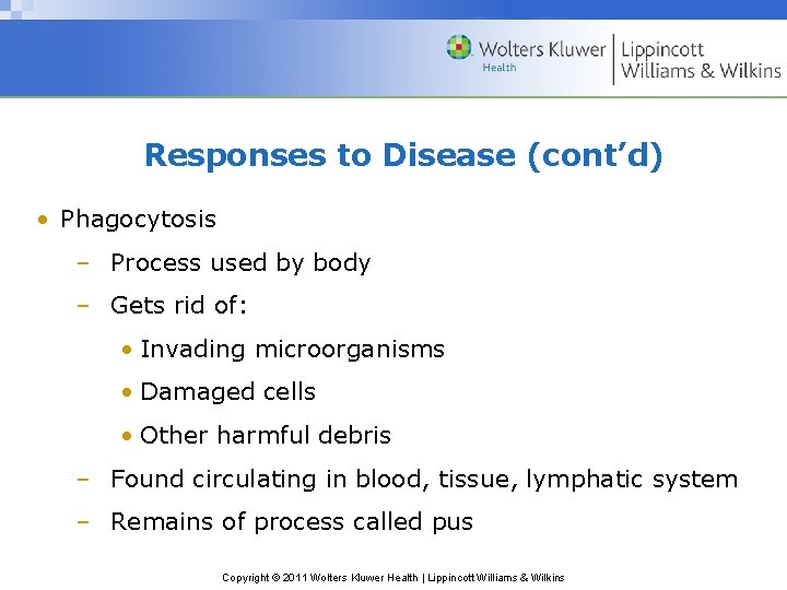 Responses to Disease (cont’d) • Phagocytosis – Process used by body – Gets rid