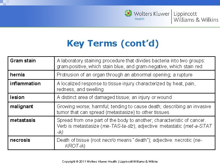 Key Terms (cont’d) Gram stain A laboratory staining procedure that divides bacteria into two