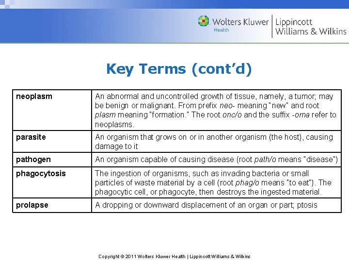 Key Terms (cont’d) neoplasm An abnormal and uncontrolled growth of tissue, namely, a tumor;