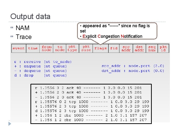 Output data NAM Trace • appeared as "------" since no flag is set •