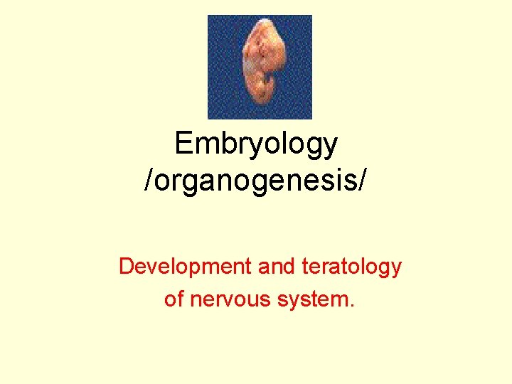 Embryology /organogenesis/ Development and teratology of nervous system. 