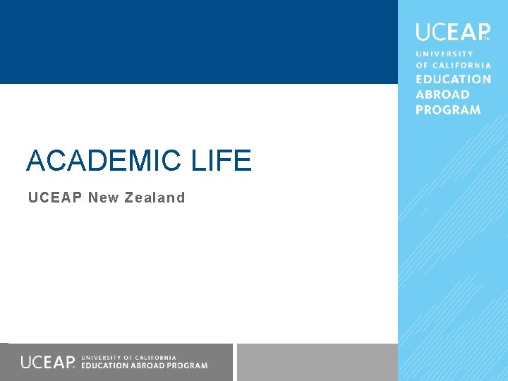 ACADEMIC LIFE UCEAP New Zealand 