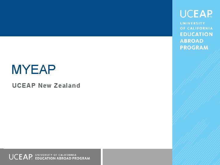 MYEAP UCEAP New Zealand 